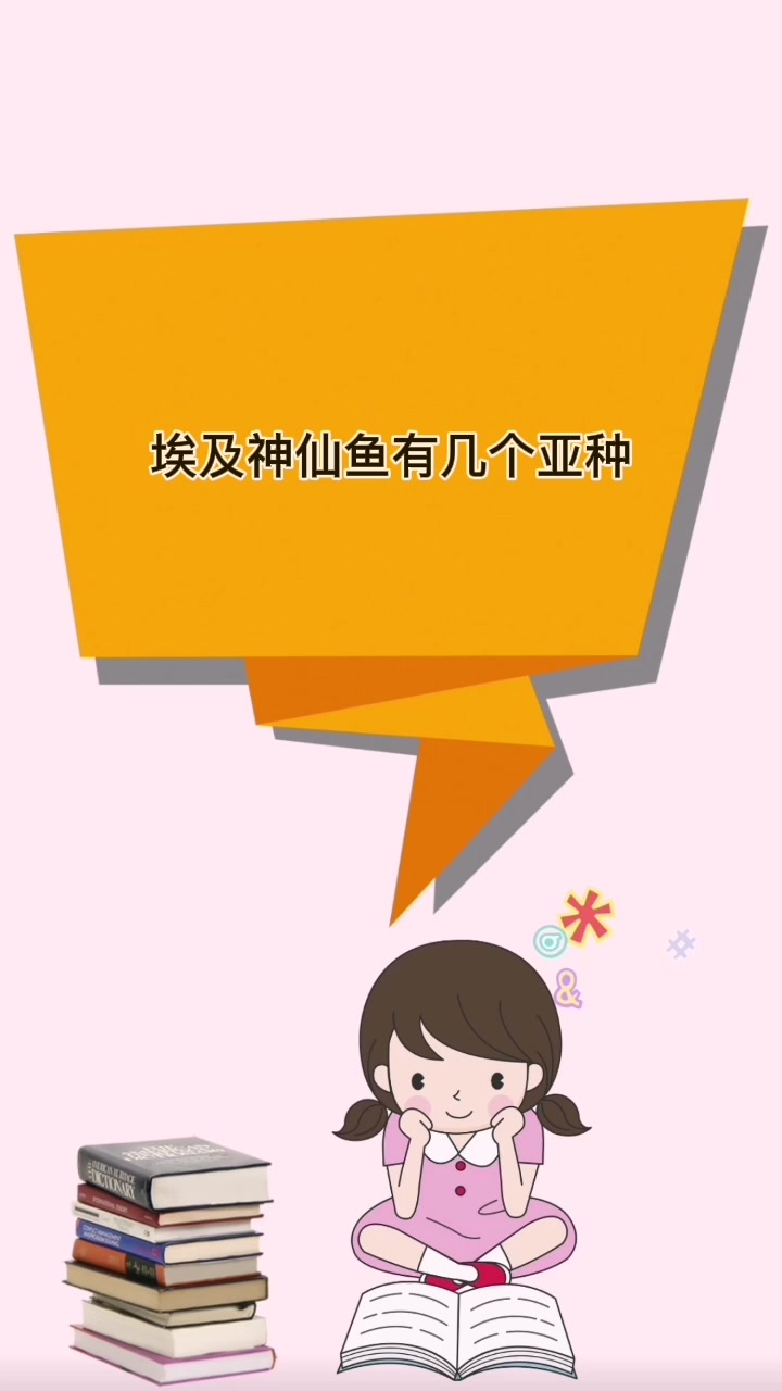 埃及神仙鱼有几个亚种