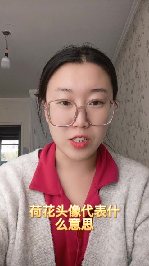 荷花头像代表什么意思