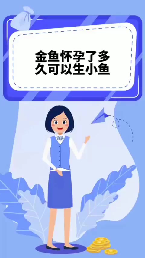 金鱼怀孕了多久可以生小鱼