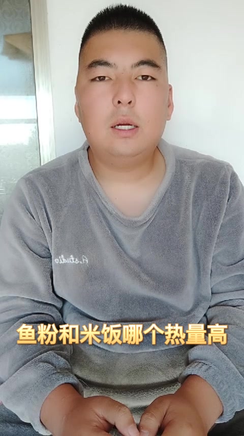 鱼粉和米饭哪个热量高