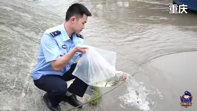 【长江禁渔:鱼和人类的十年之约】#长江大保护# 过去,因我们的过度捕捞,长江里的鱼类逐渐消