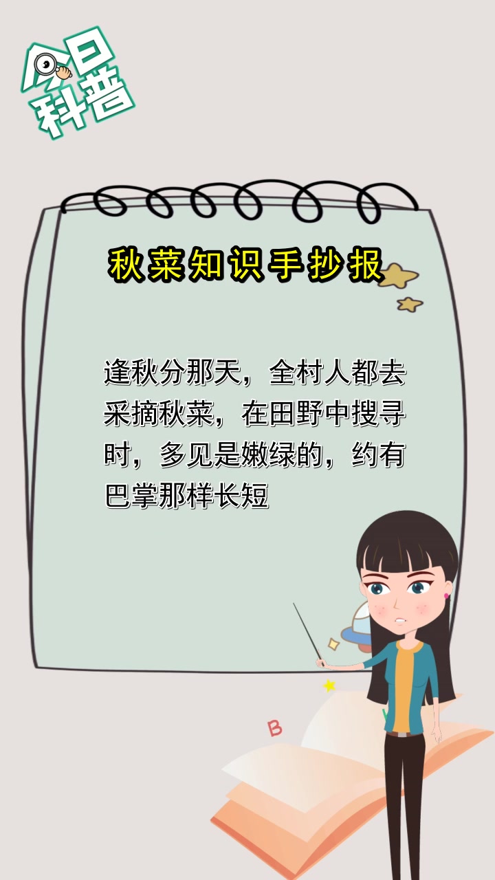 秋菜知识手抄报,你清楚了吗