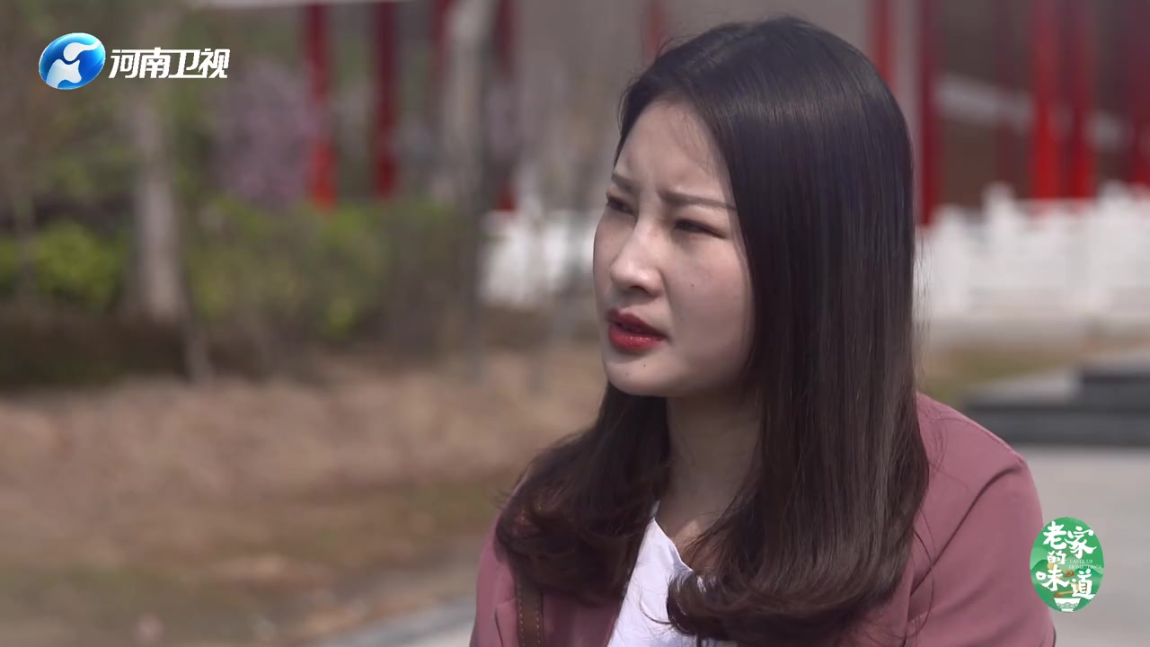 河南卤鸡界“最美西施”——信阳息县刷子鸡块!刷子用得好,卤鸡也能吃到饱!一口下去金黄冒油,