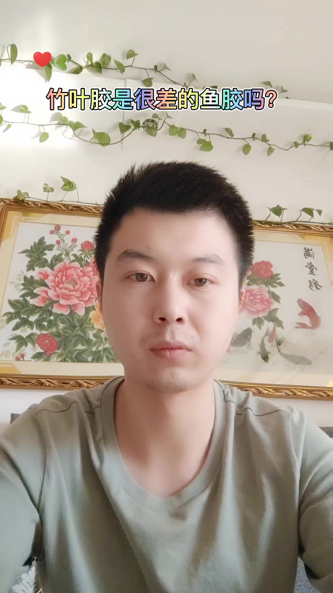 竹叶胶是很差的鱼胶吗?