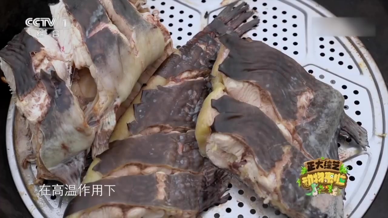 【赫哲族特色菜炒鱼毛[馋嘴]】“炒鱼毛”选用乌苏里江中新鲜的江鱼,切成鱼块后放入锅中蒸至软