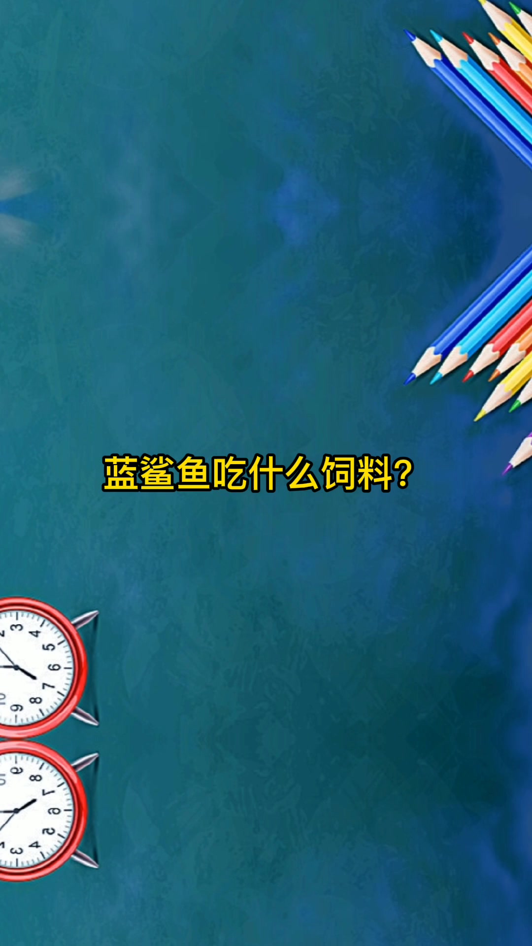 蓝鲨鱼吃什么饲料?