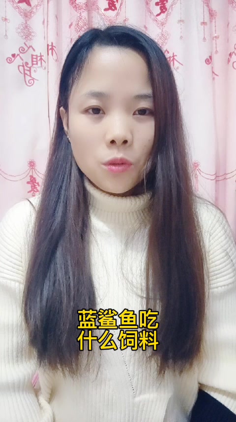 蓝鲨鱼吃什么饲料