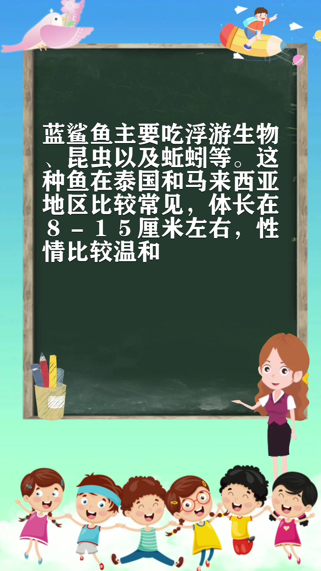 蓝鲨鱼吃什么饲料