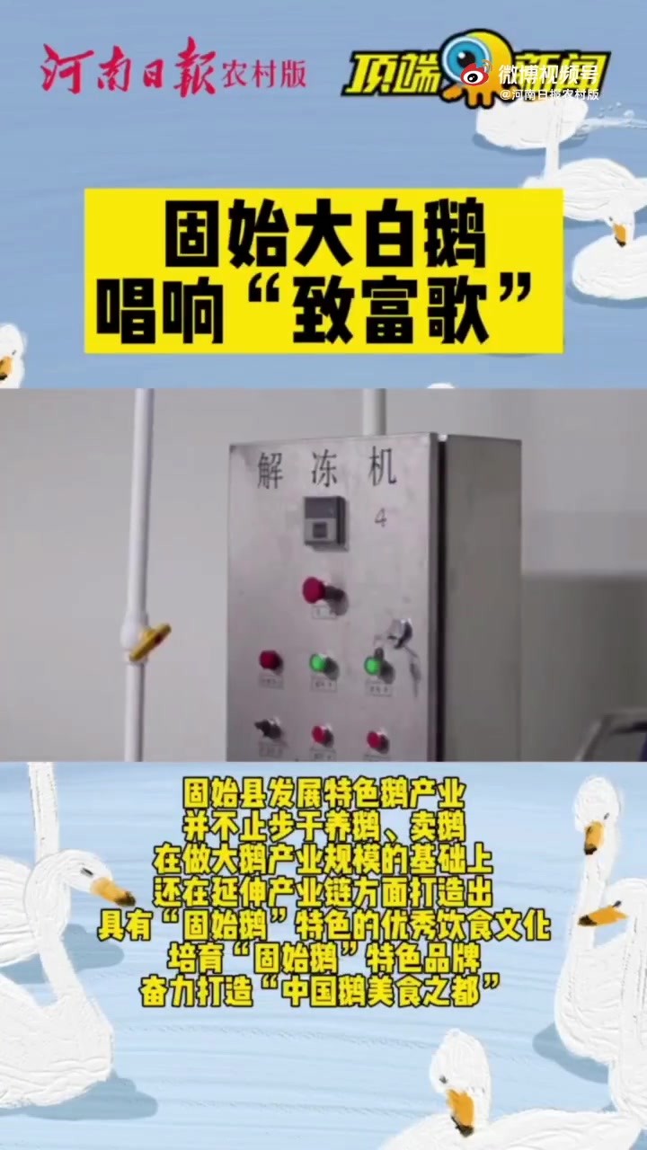 【富民强村“固始鹅” 引颈高歌振翅飞】据了解,2020年,固始县成功创建成为‘固始鹅’河南