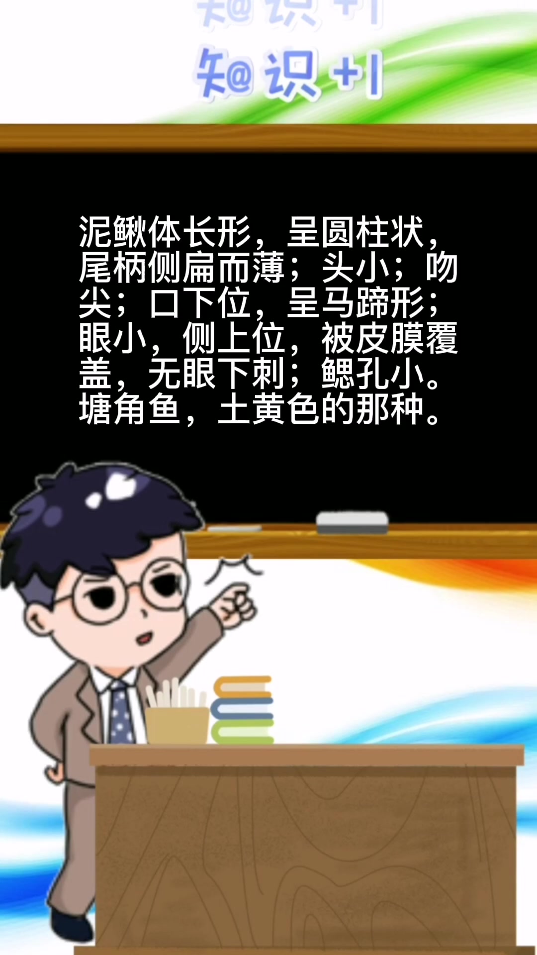 塘角鱼和泥鳅的区别