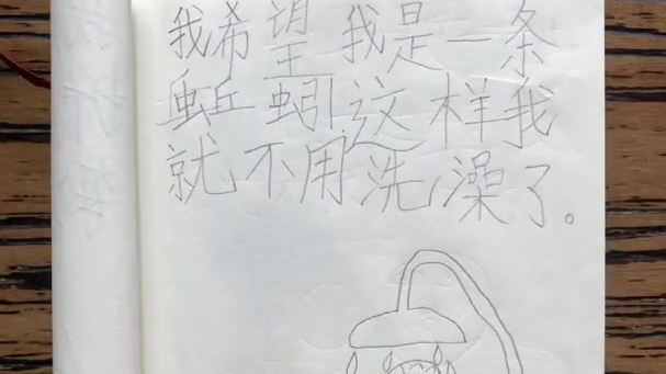 【可爱童心![开心]小女孩的日记简笔画太有灵气】近日,一个小女孩的日记简笔画在网上走红。她