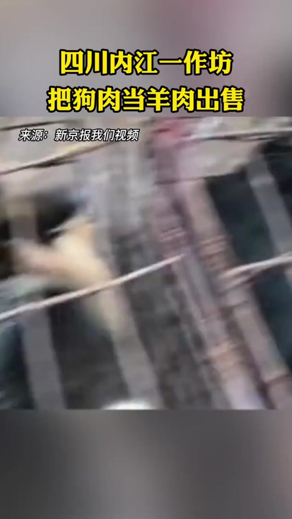 四川内江,一作坊把狗肉当羊肉出售