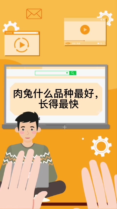 肉兔什么品种最好,长得最快