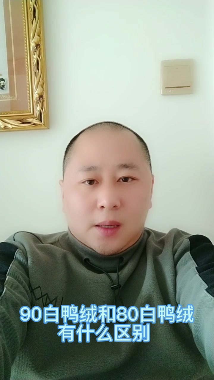 90白鸭绒和80白鸭绒有什么区别 