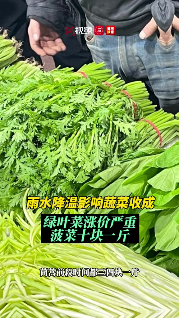 绿叶菜近期涨价很“疯” 菠菜10块钱一斤 市民感慨:赶上肉价了