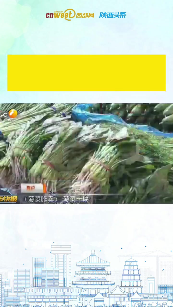 绿叶菜价格“疯”涨 菠菜一斤十块价格直追猪肉