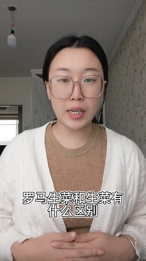 罗马生菜和生菜有什么区别