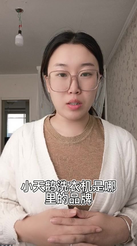 小天鹅洗衣机是哪里的品牌