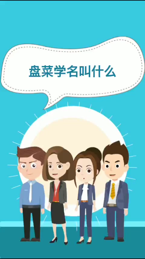 盘菜学名叫什么   