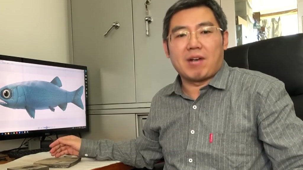 【中国发现2.44亿年前肋鳞裂齿鱼[得意]】26日,记者从中国科学院古脊椎动物与古人类研究