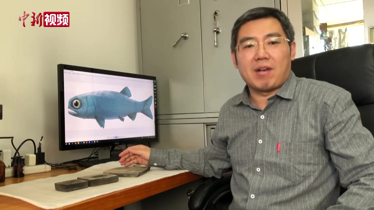 【中国发现2.44亿年前肋鳞裂齿鱼[得意]】26日,记者从中国科学院古脊椎动物与古人类研究