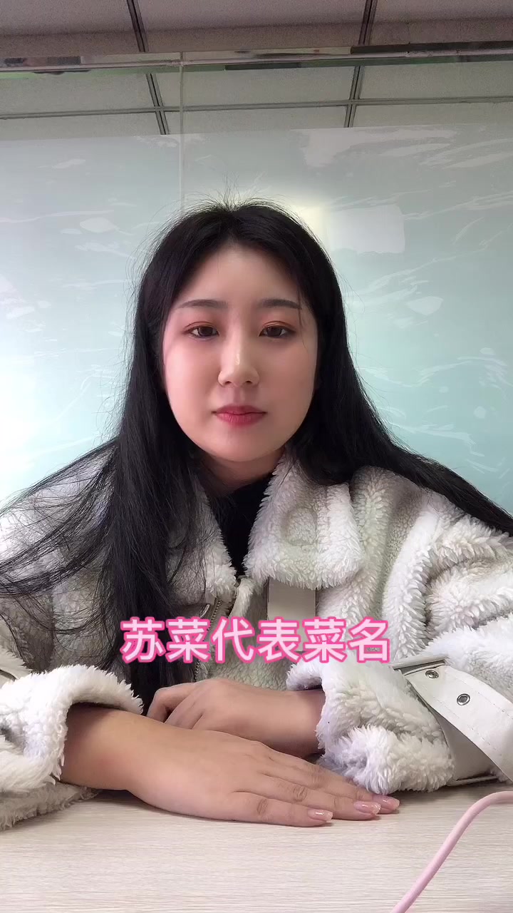 苏菜代表菜名  