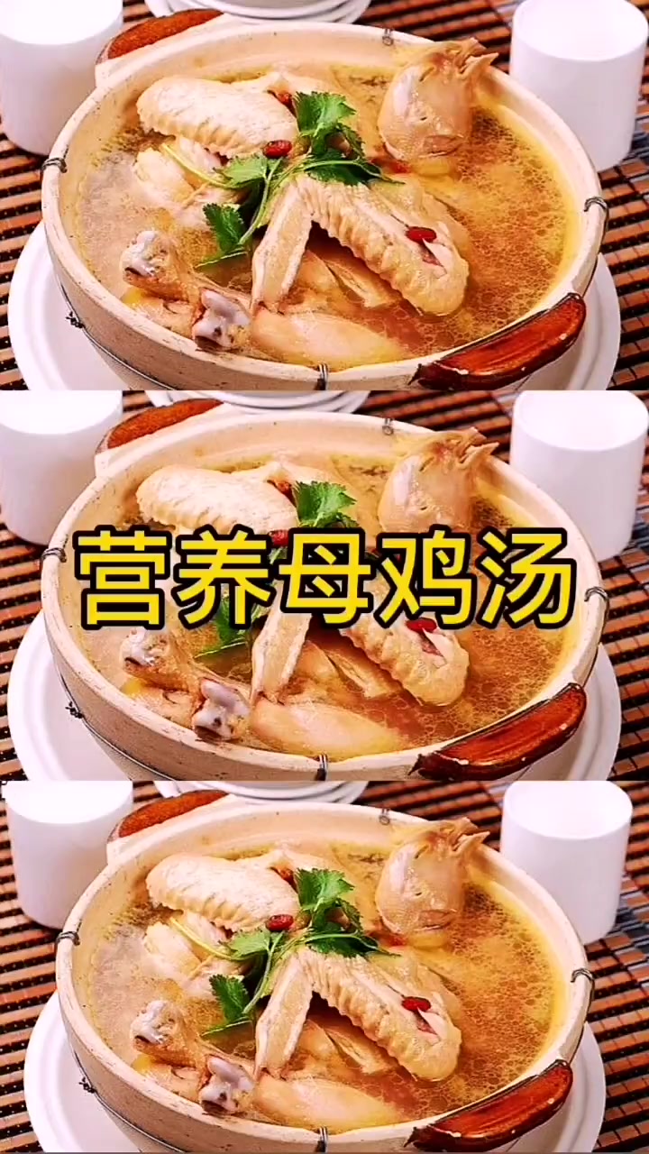 母鸡怎么炖好喝又营养  