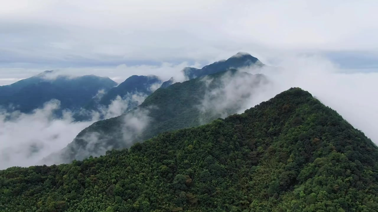 【广州这处“仙境”你去过吗?】位于广州从化吕田与惠州龙门交界的桂峰山,海拔超千米,650米
