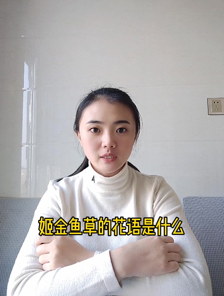 姬金鱼草的花语是什么