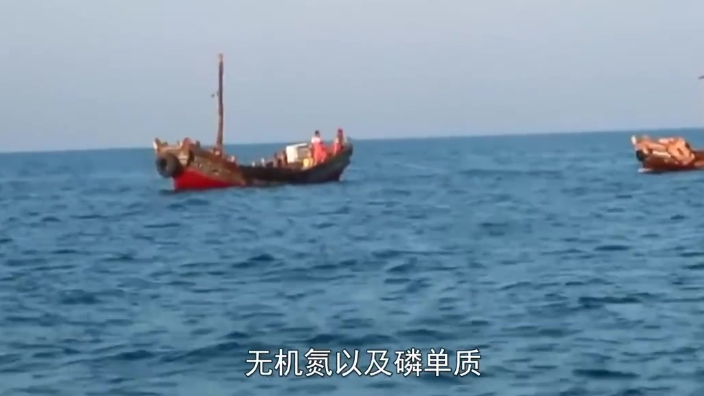 【不再进口日本货?中国在黄海造全球最大鱼塘,一年产量1500吨】近日,据媒体报道,由于海洋