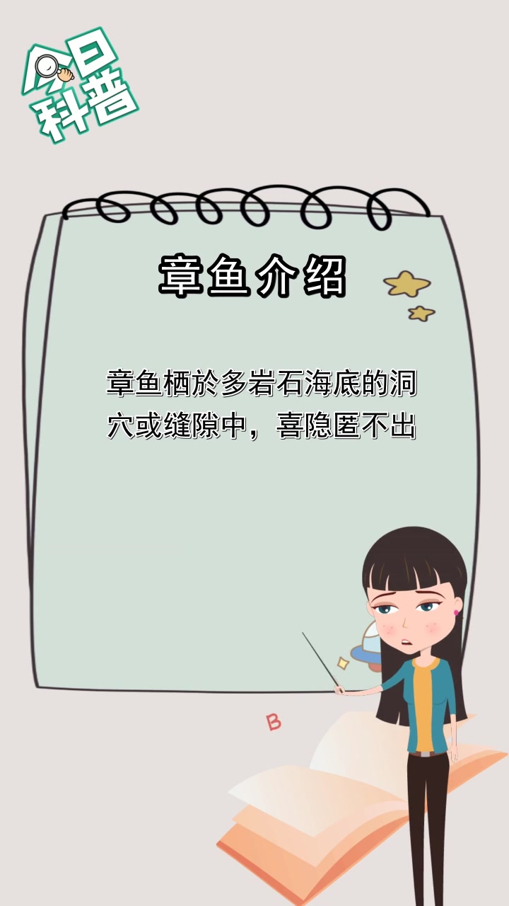 章鱼介绍,你听懂了吗