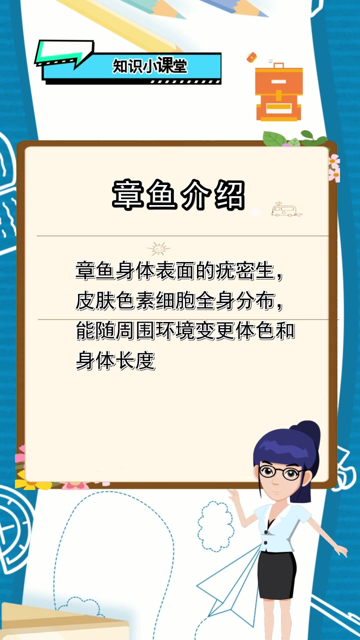 章鱼介绍,你了解了吗