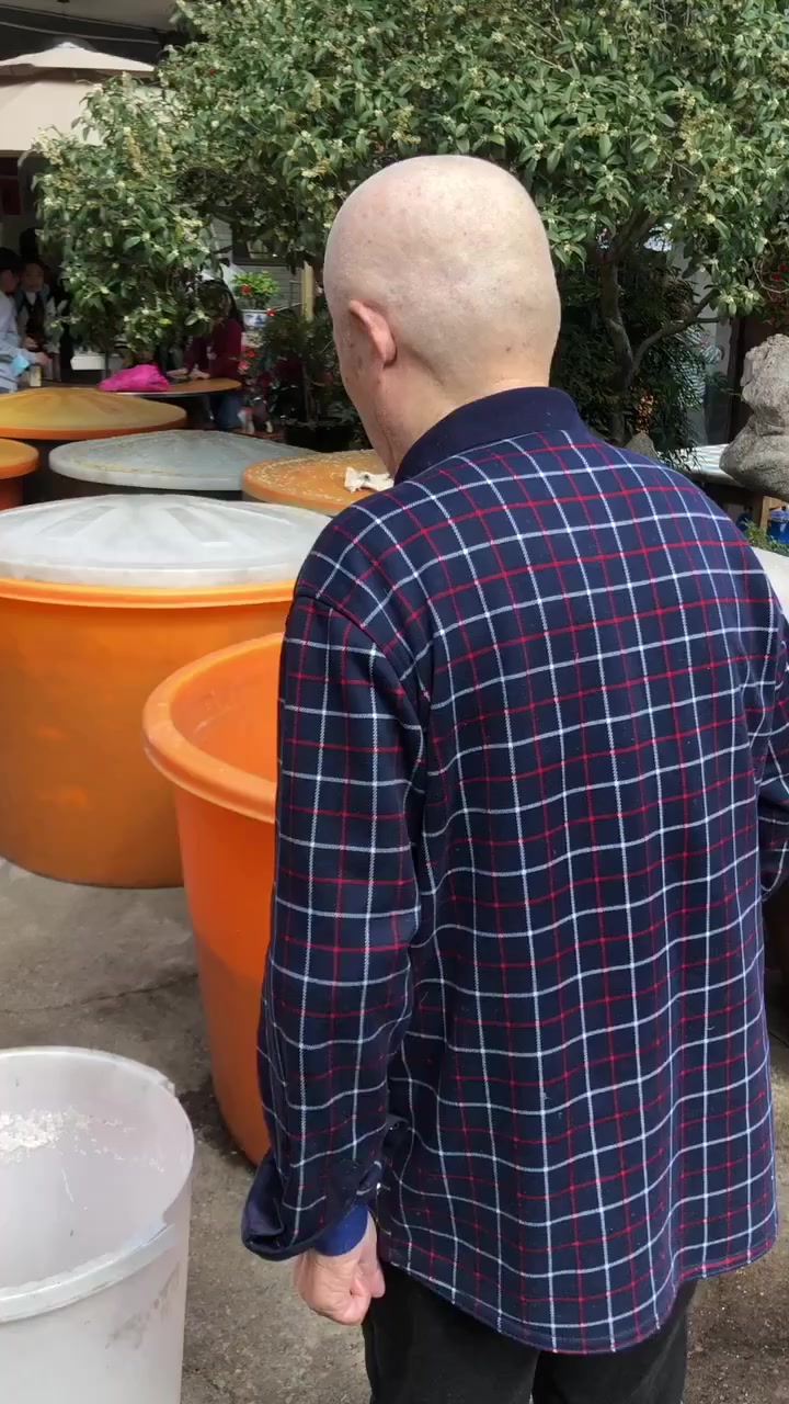 西湖边这一筐筐的金黄刷屏,糖桂花是杭州人想留住的秋天呀