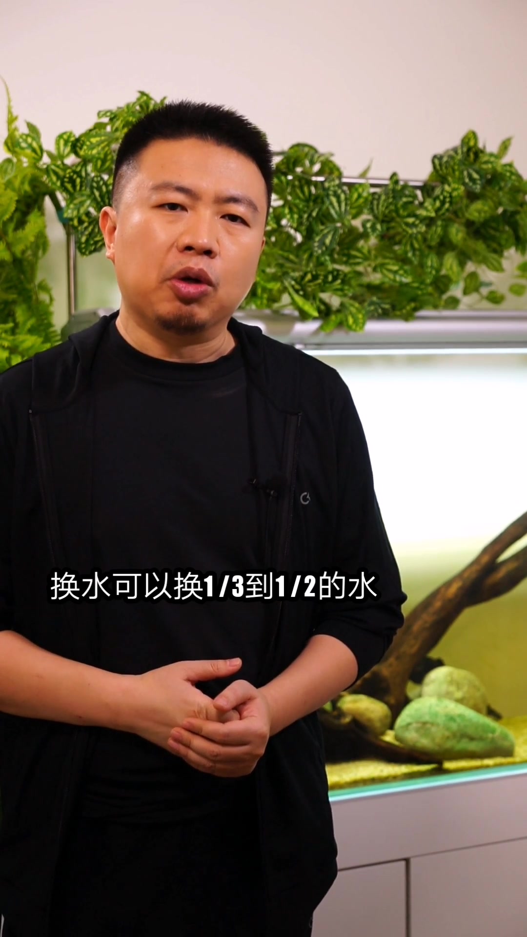 怎样消灭鱼缸蛋白虫?方法其实很简单,1分钟让你学会