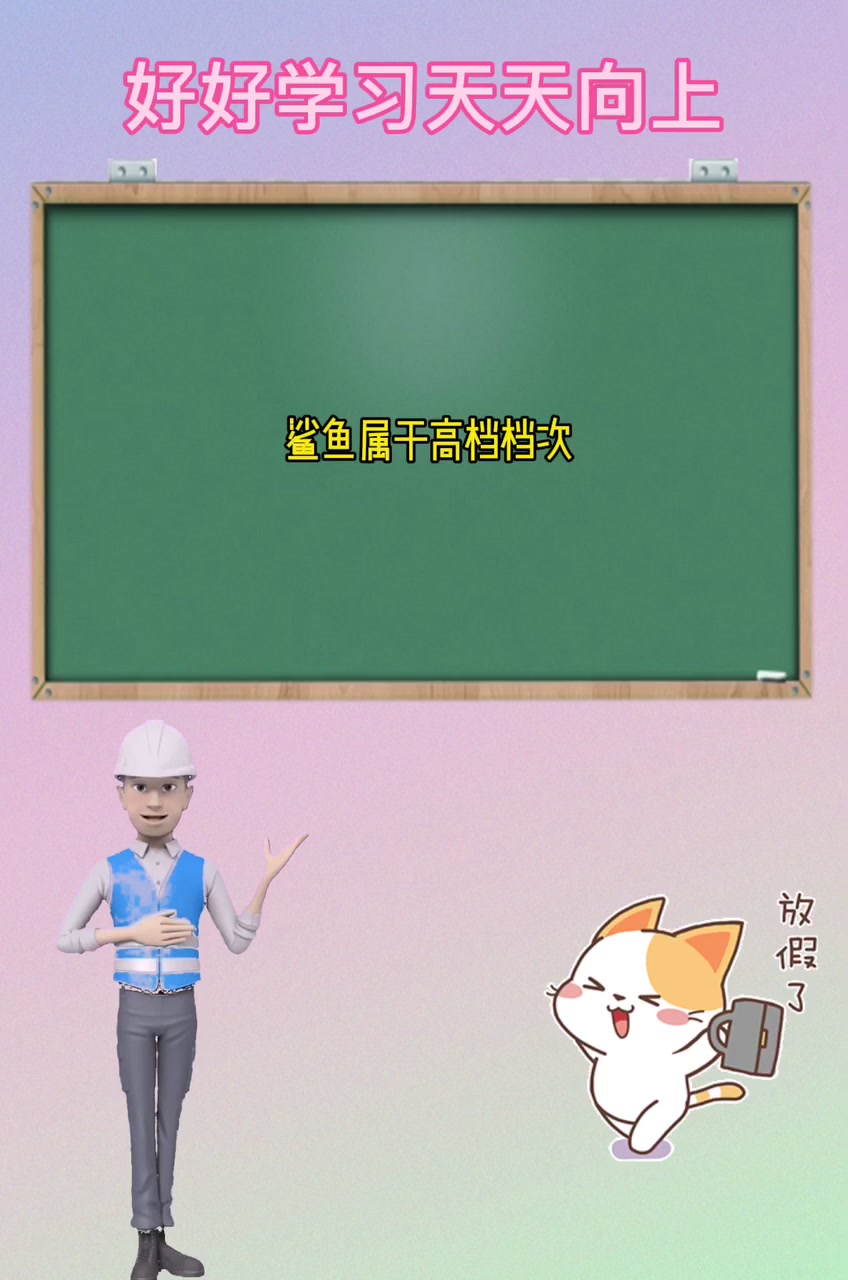 鲨鱼品牌属于什么档次