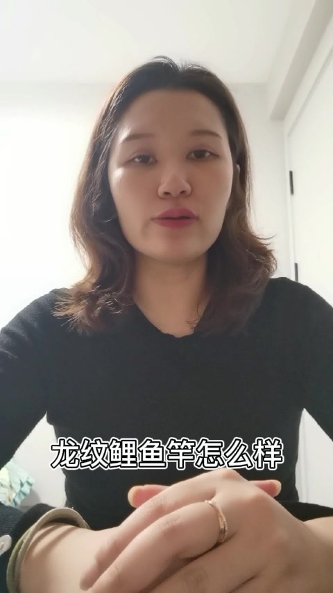 龙纹鲤鱼竿怎么样   