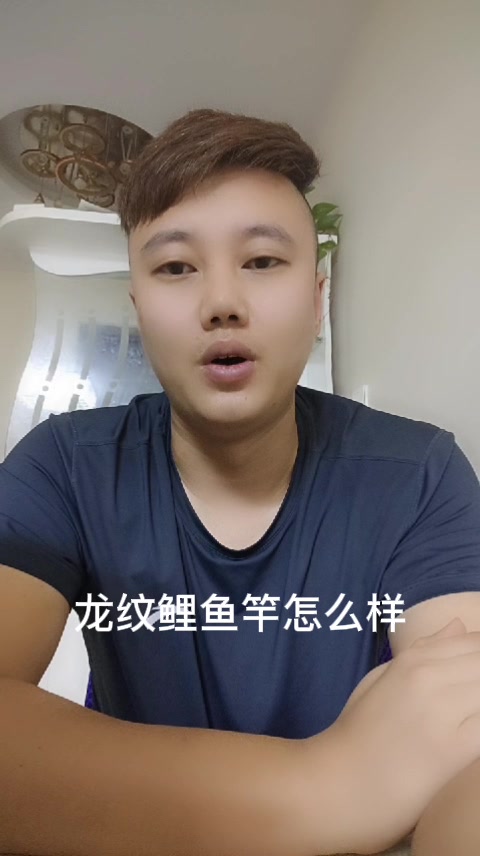 龙纹鲤鱼竿怎么样   