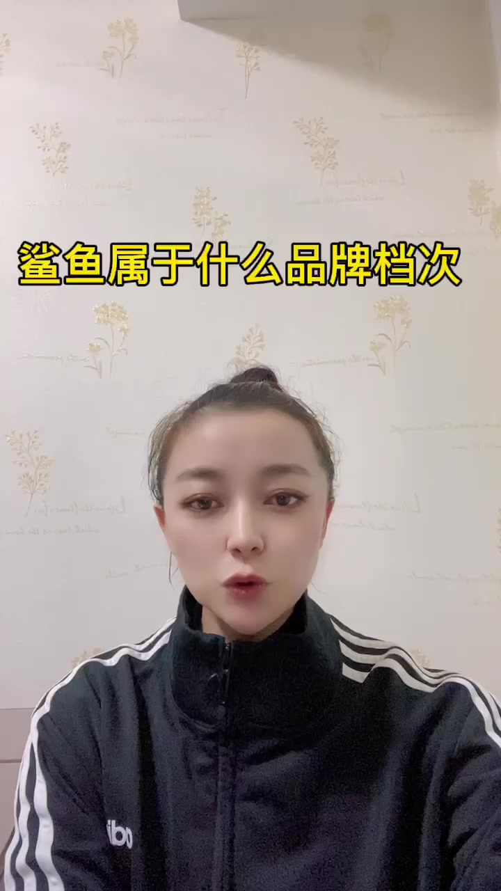 鲨鱼属于什么品牌档次