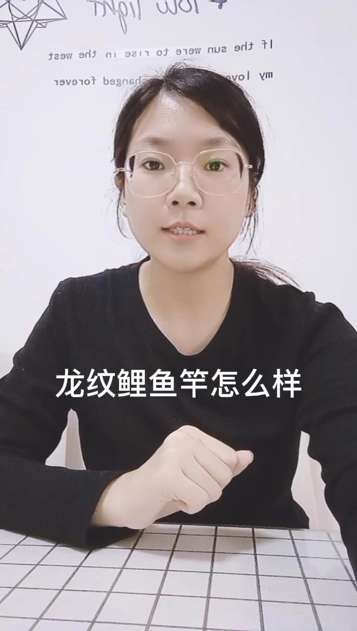 龙纹鲤鱼竿怎么样
