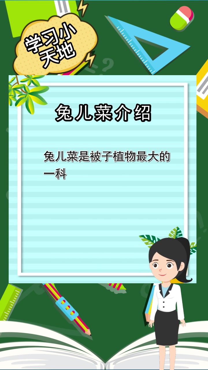兔儿菜介绍,你清楚了吗