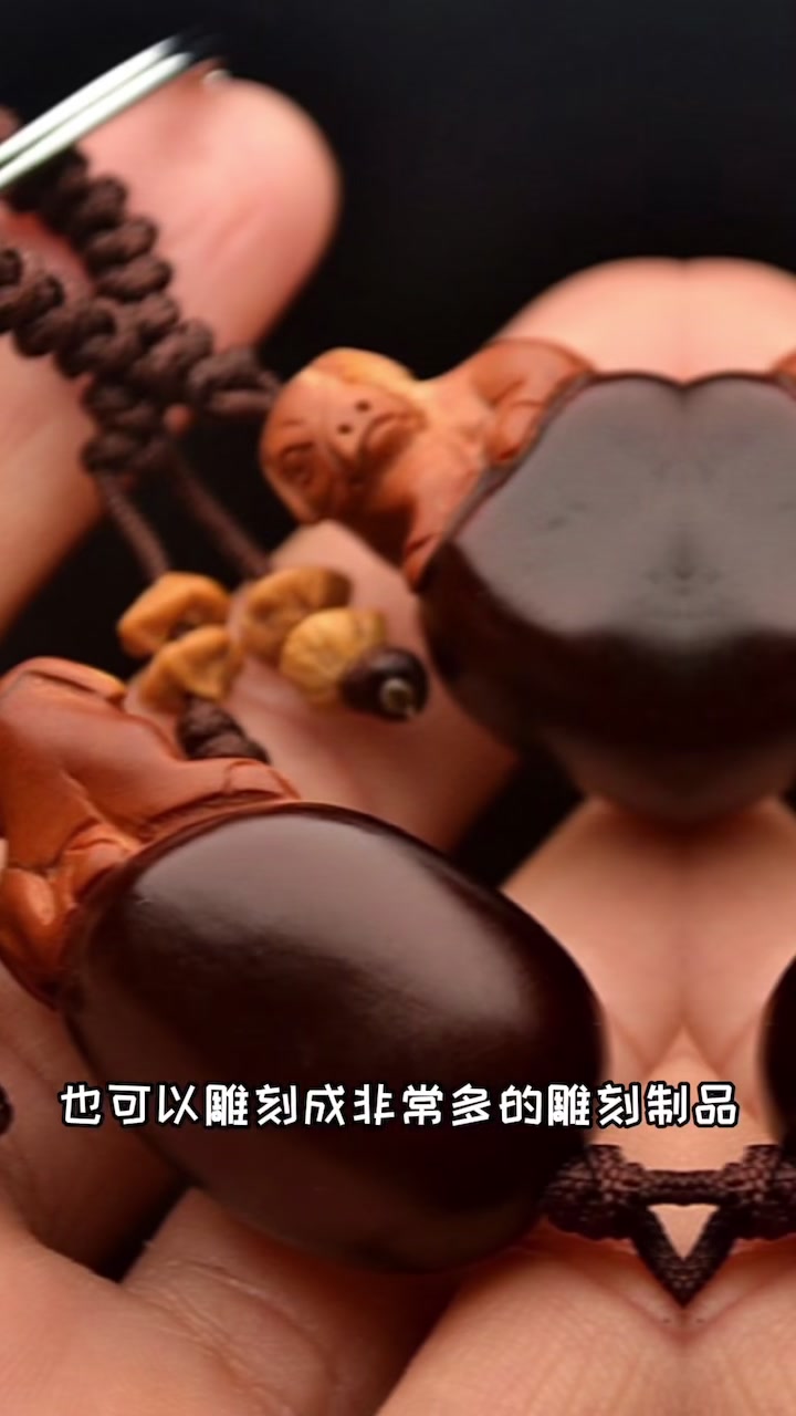 老铁们,可以吃可以盘的文玩你们见过吗?