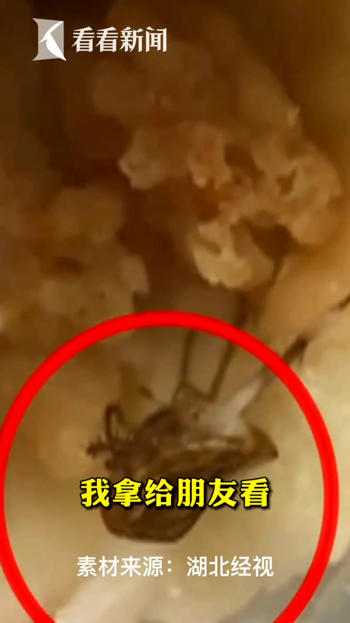 恶心!外卖鸡肉卷吃出蟑螂 女子吐了:腿上还沾着酱料……