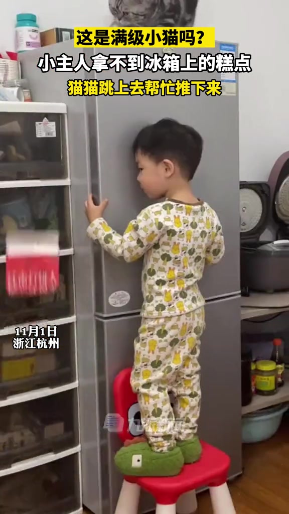 这就是满级猫咪吗?11月1日,浙江杭州。小主人拿不到冰箱上的糕点,猫猫跳上去帮忙推下来