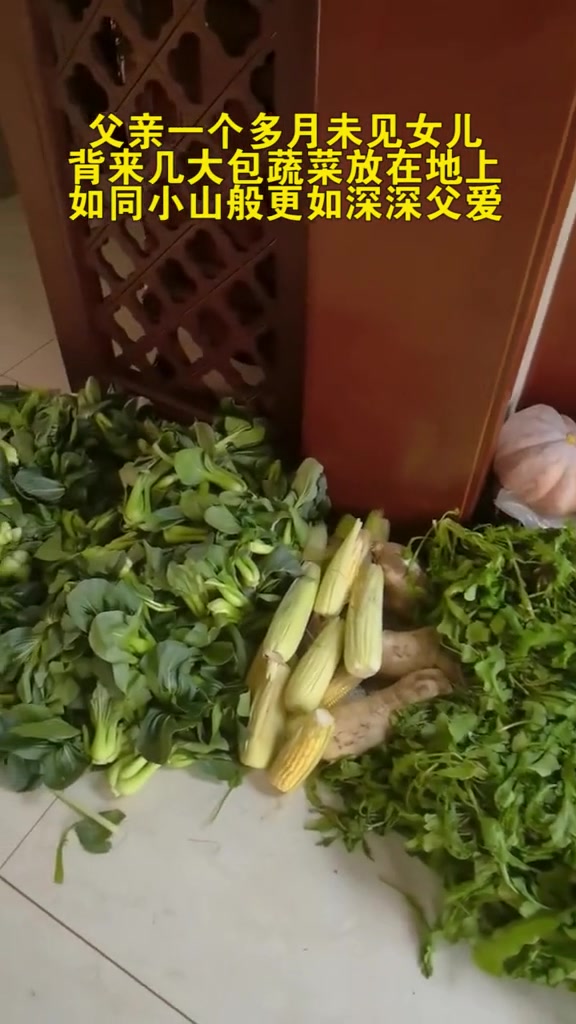 江苏镇江父亲一个多月未见女儿,背来几大包蔬菜,放在地上如同小山般,更如深深父爱