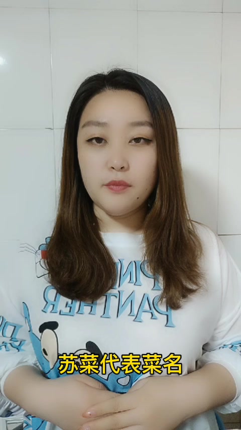 苏菜代表菜名  