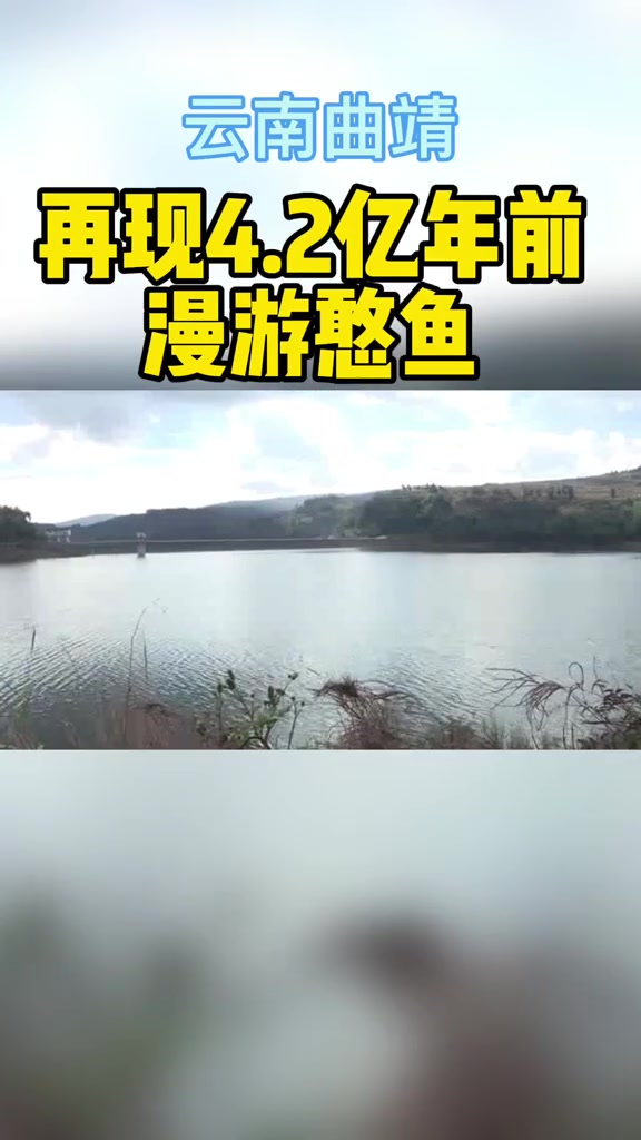 4.2亿年前漫游憨鱼再现曲靖,它长这样→ 云南 化石 罕见