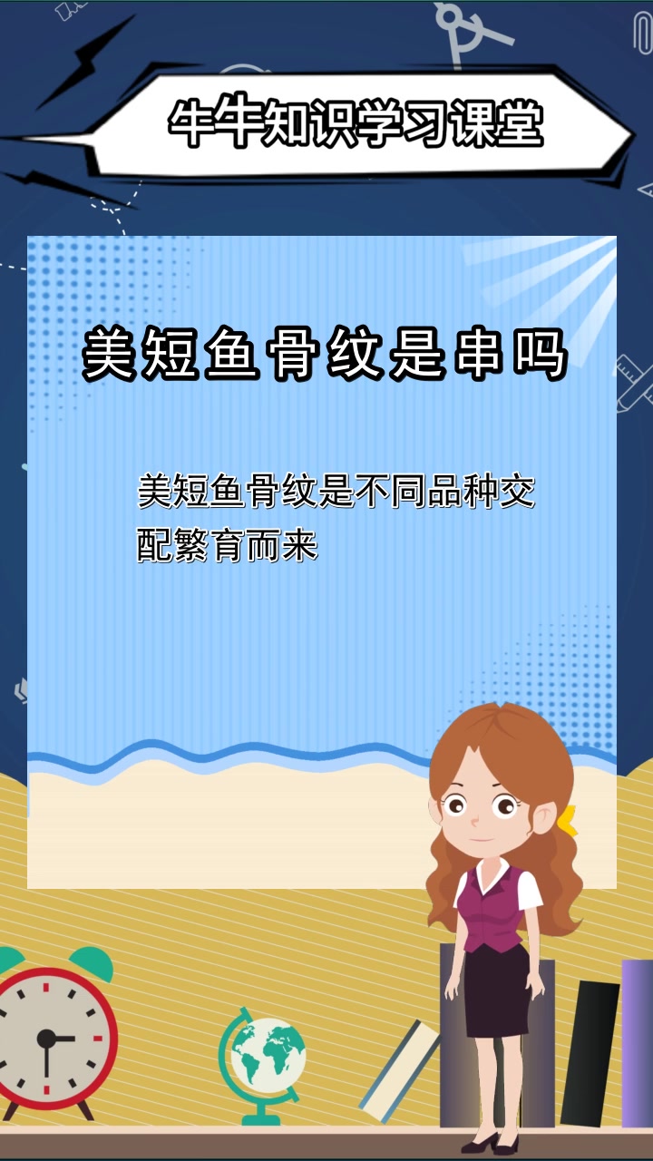 美短鱼骨纹是串吗,你理解了吗