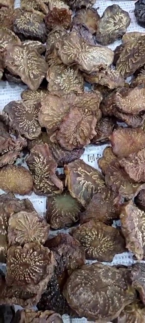 阿拉善野生肉苁蓉切片是这样的