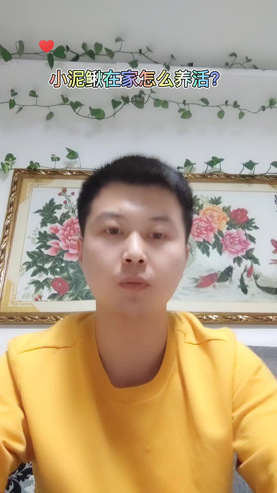 小泥鳅在家怎么养活?