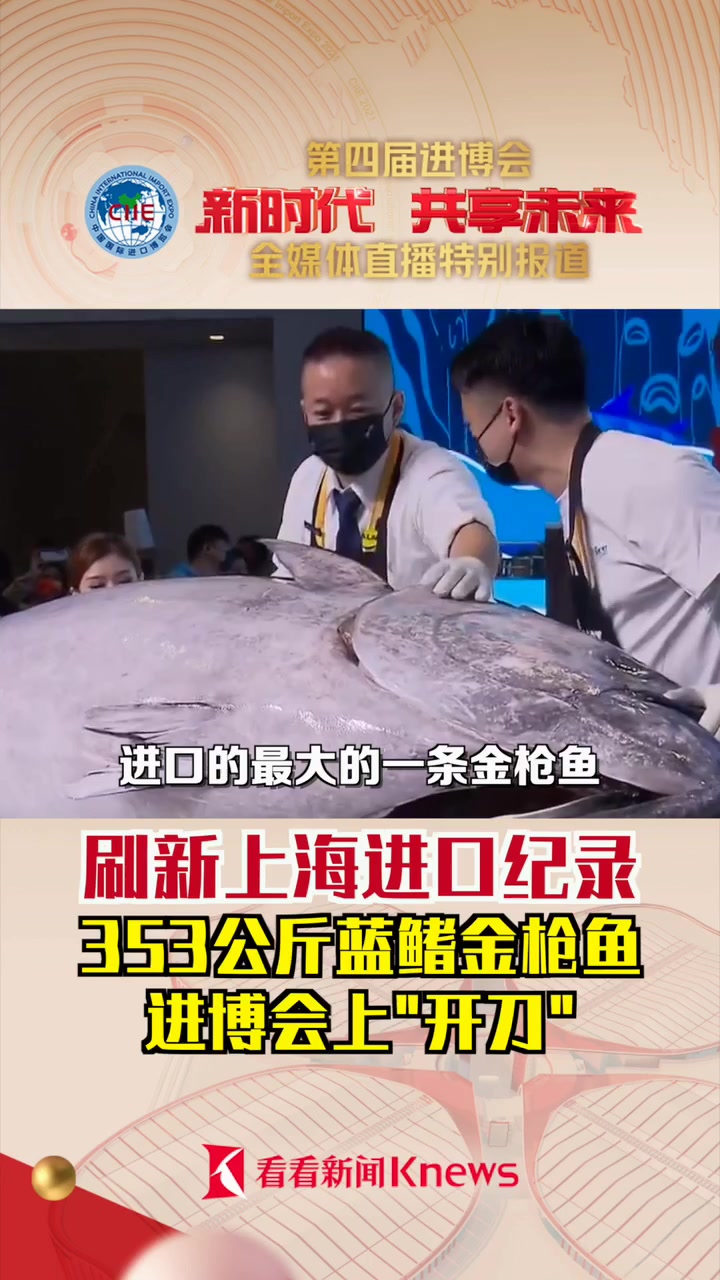 353公斤!进博会上,上海最大的进口蓝鳍金枪鱼“开刀”